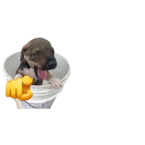 Baby memes — стикер 93