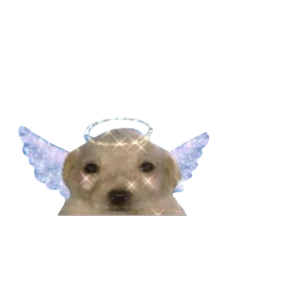 Baby memes — стикер 40