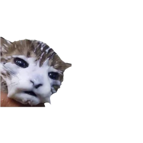 Baby memes — стикер 95