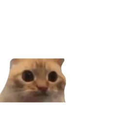 Baby memes — стикер 66