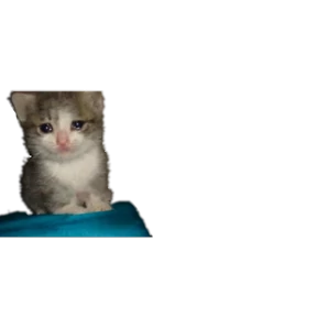 Baby memes — стикер 39