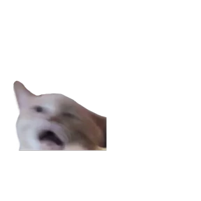 Baby memes — стикер 27