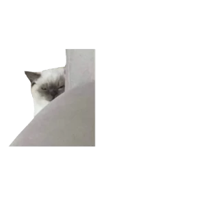 Baby memes — стикер 21