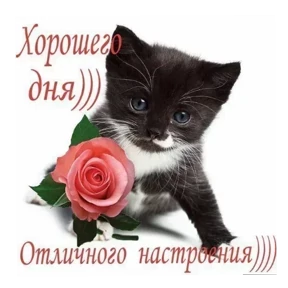 Милашки <3 — стикер 15