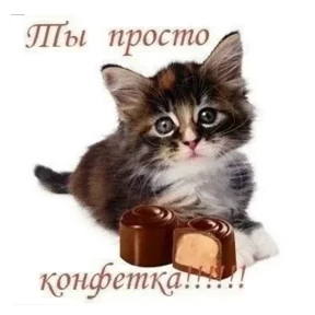Милашки <3 — стикер 14