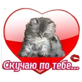 Милашки <3 — стикер 17