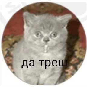 Треш мемы 7 — стикер 46