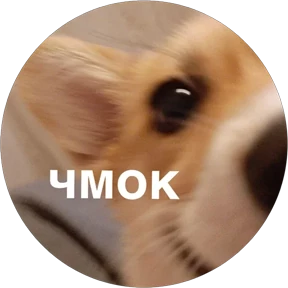 Корги — стикер 12