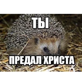 Nasyamasya — стикер 68