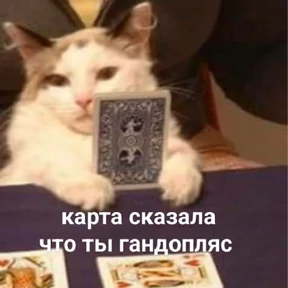 Nasyamasya — стикер 61