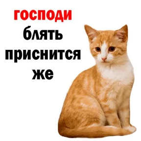 Nasyamasya — стикер 38