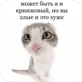 Nasyamasya — стикер 17