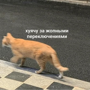 Nasyamasya — стикер 30