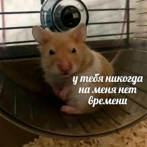 Nasyamasya — стикер 43
