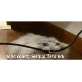 Nasyamasya — стикер 15