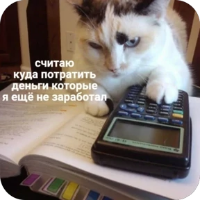 Nasyamasya — стикер 33