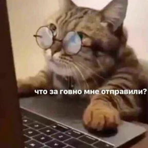 Nasyamasya — стикер 59