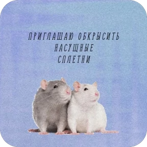 Nasyamasya — стикер 27