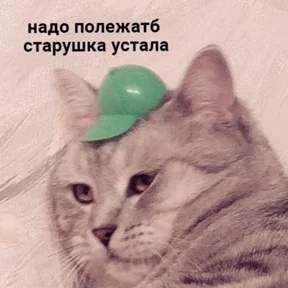 Nasyamasya — стикер 72