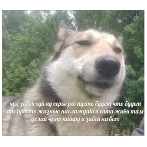 Nasyamasya — стикер 28