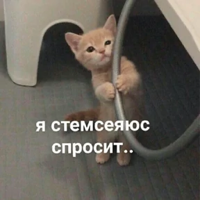 Nasyamasya — стикер 29