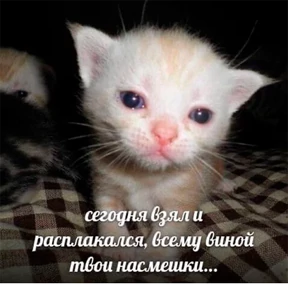 Nasyamasya — стикер 52