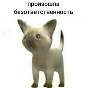 Nasyamasya — стикер 57