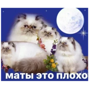 Стикеры — стикер 7