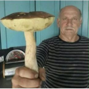 Стикеры — стикер 25