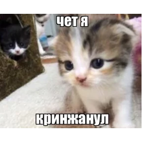 Стикеры — стикер 5
