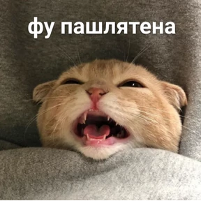 Стикеры — стикер 2