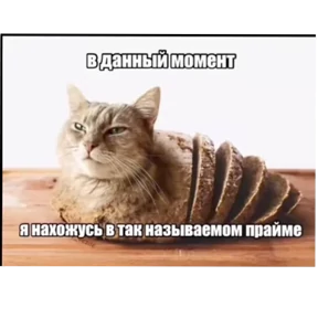 Мемчики — стикер 15