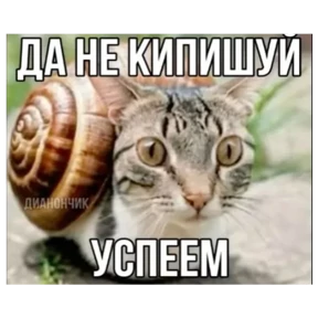 Мемчики — стикер 13