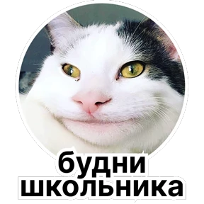 Стикербум сериалы — стикер 80