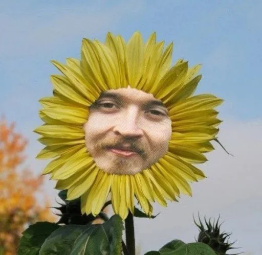 Егор Летов @TgEmodziBot