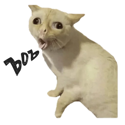 ( ) Пушистые Пидоры 2