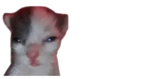 Little Kitties | More stickers here >