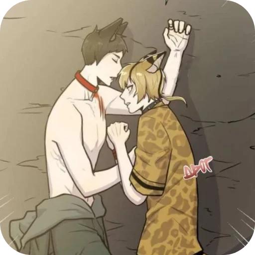 Любовь животных