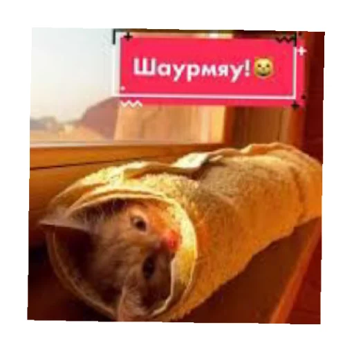 Симбочка Пимпочка Обновление 4