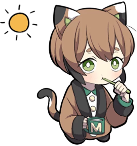 Tortoiseshell Kitten