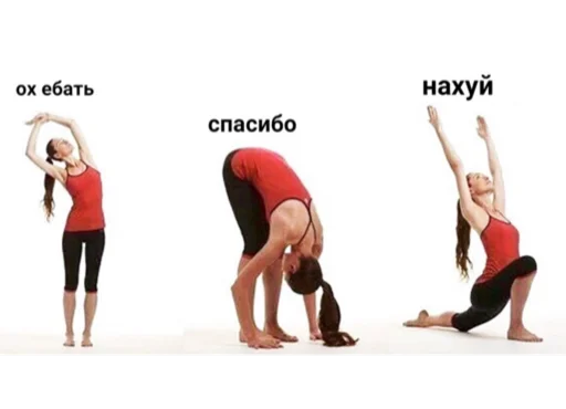 сучьи стикеры