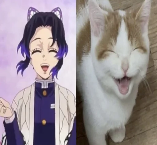 – шинобушка