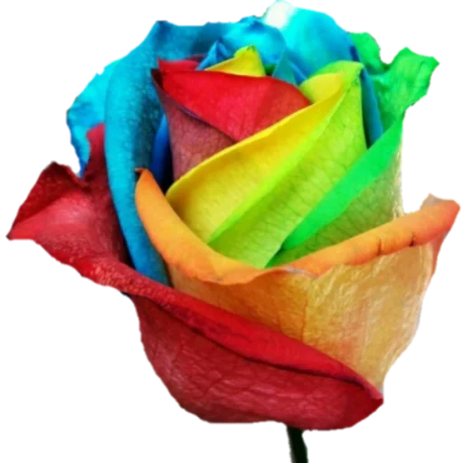 فواصل ويزيدنا القرآن خشوعا2