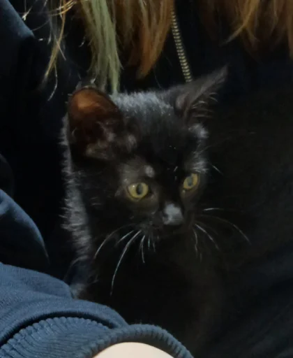 вiкочк, а🥺✅💜🏳️‍🌈