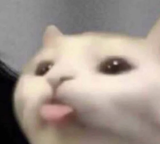 vsyakiye smeshnyye shtuki ::