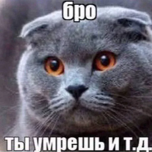 бро ты умрешь и тд ::