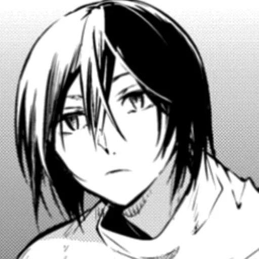 fᴇdᴏr | ʍᴇᴏvᴇll ฅ^• ˕ •^ฅ