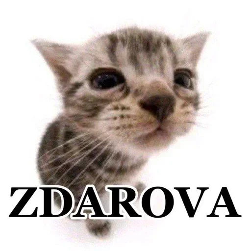 Больше стиков тут: