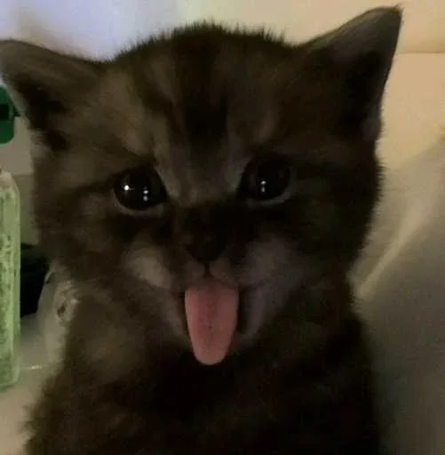 Больше стиков тут: