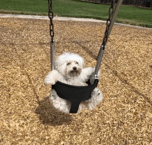 Больше стиков тут: